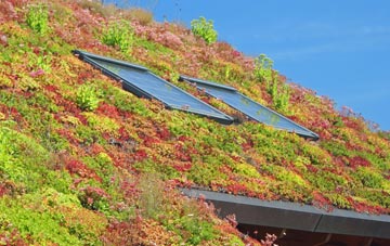 Clochan living roof systems