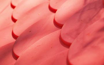 Clochan plastic roof costs