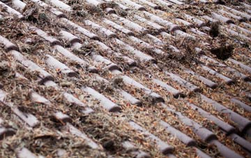 Clochan roof cleaning companies